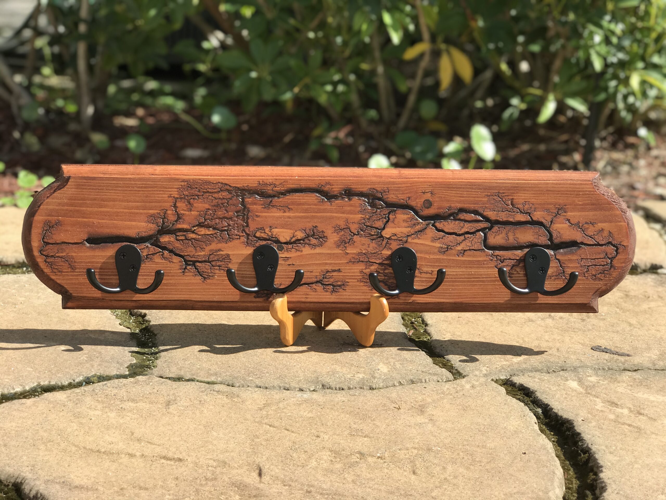 Lichtenberg Coat Hooks